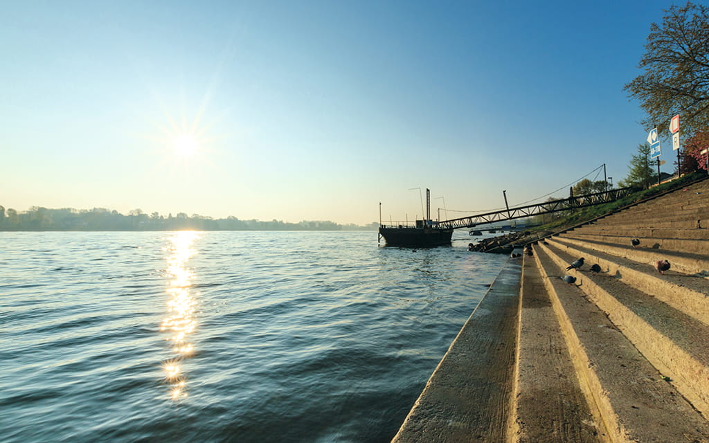 Treppensteg am Rhein in Mainz