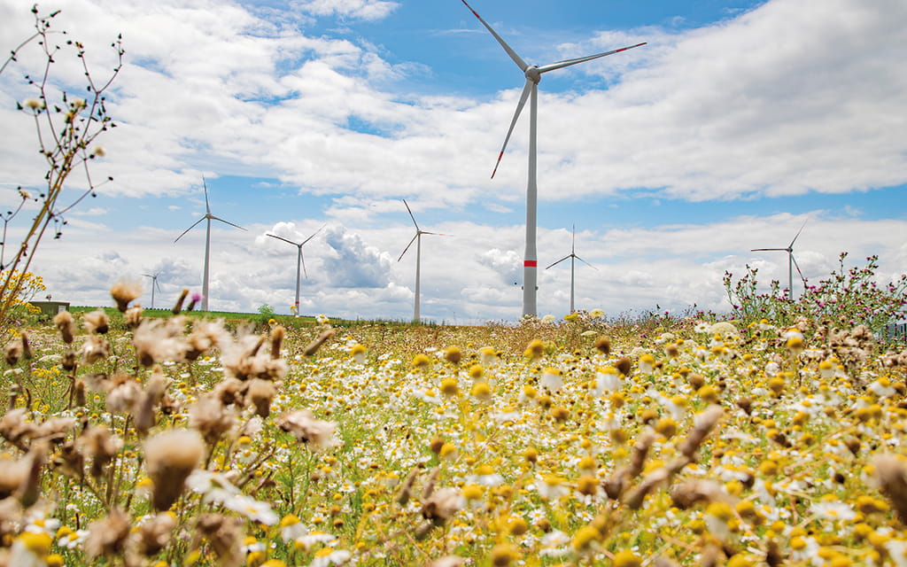 Windräder in Mainz-Hechtsheim