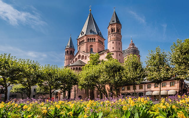 Der Mainzer Dom im Grünen