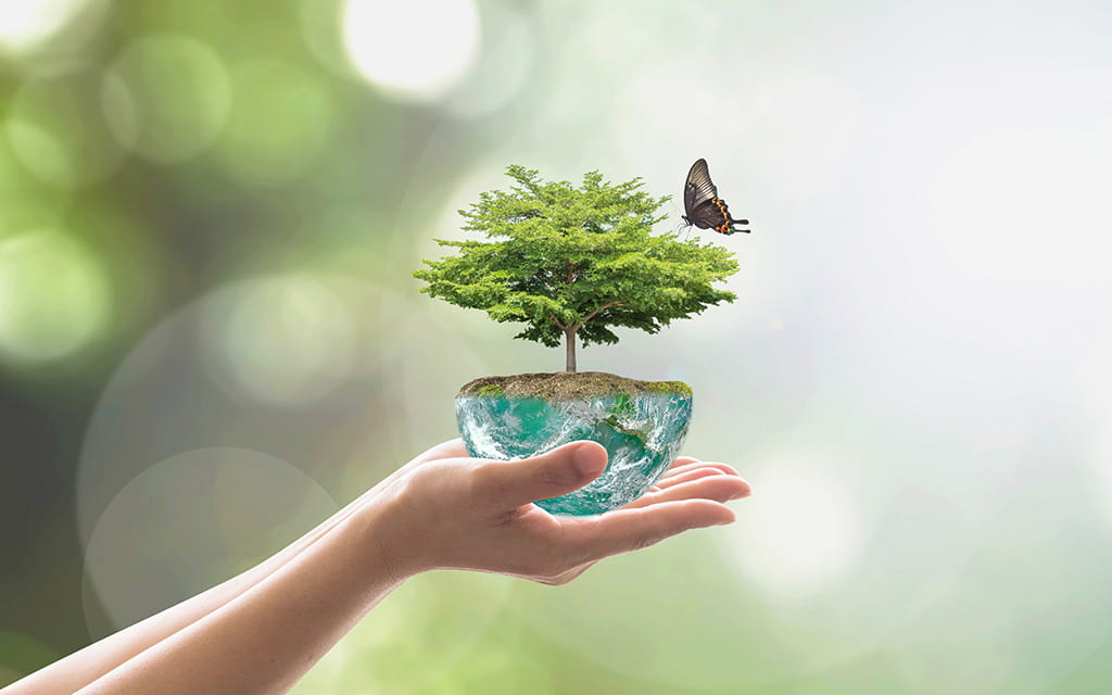 Person hält kleine halbe Weltkugel mit daraus wachsendem Baum in der Hand