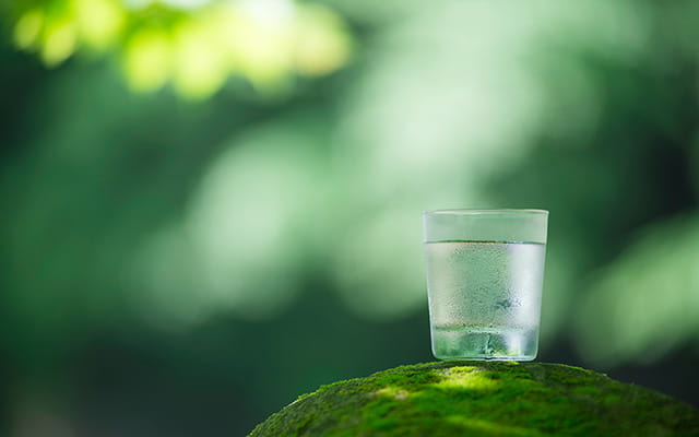 Wasserglas steht in der grünen Natur Wasserglas steht in der grünen Natur