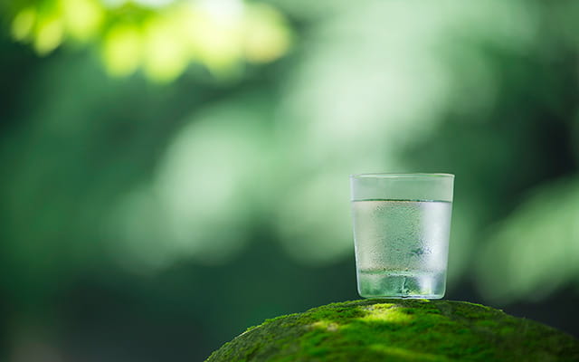 Wasserglas steht in der grünen Natur